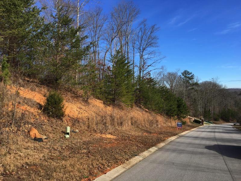 Lot 5 Sheerwater Road Kingston, TN 37763 - Photo 10 of 16 Image 6-11-18 at 12.53 PM (5)