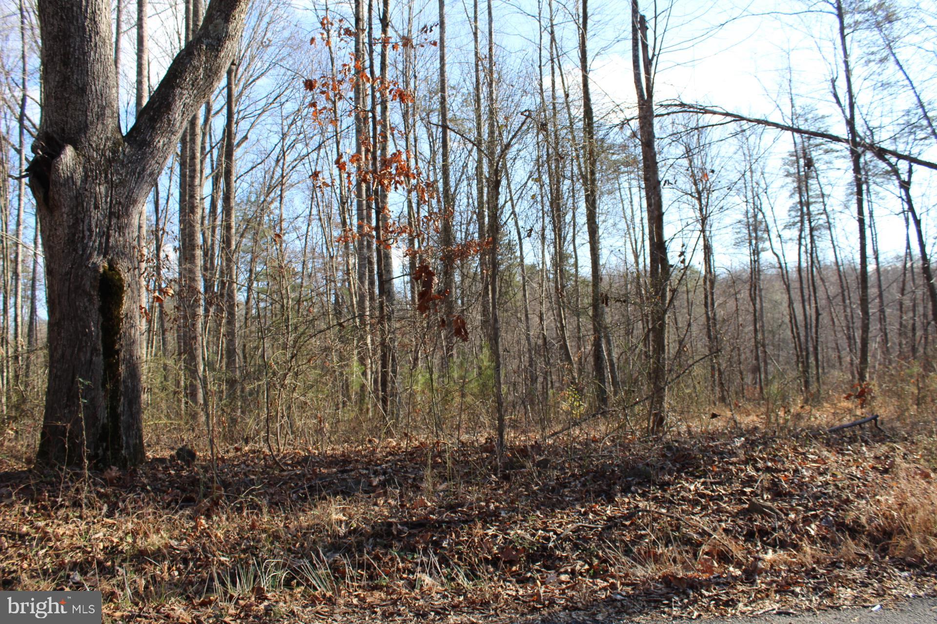 0 Cabin Road Reva, VA 22735 - Photo 3 of 7 Gallery Image 3