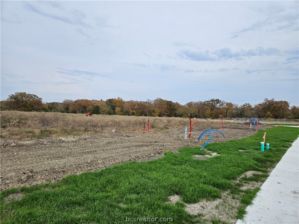 2805 GOLDBERG Drive Bryan, TX 77808 - Photo 1 of 10 a view of a lake with houses in the back
