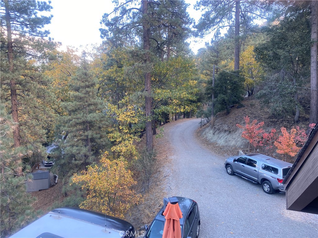 869 Mockingbird Road Wrightwood, CA 92397 - Photo 30 of 35 a view of a street with some trees