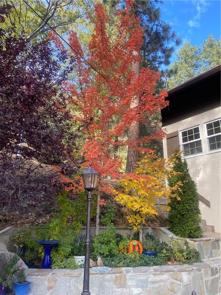 869 Mockingbird Road Wrightwood, CA 92397 - Photo 31 of 35 a front view of a house with a tree