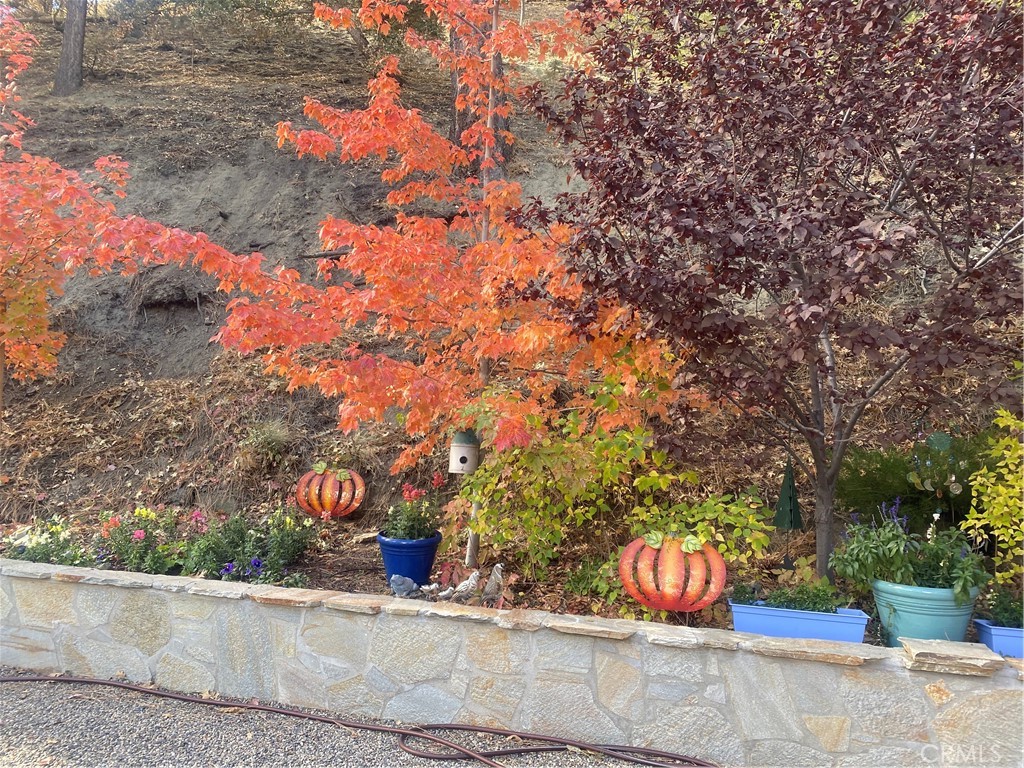 869 Mockingbird Road Wrightwood, CA 92397 - Photo 33 of 35 a street view with large trees