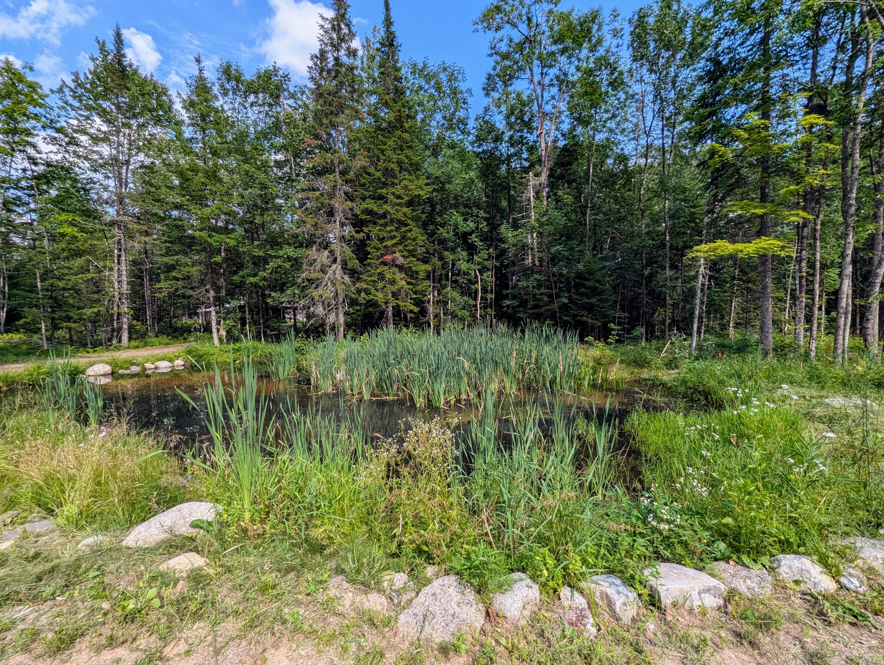 294 Spring Road Pittsfield, ME 04967 - Photo 42 of 48 Pond