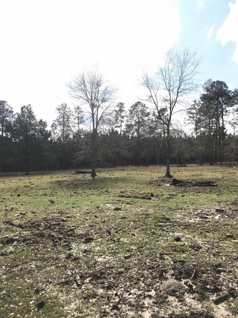 Rosemary Lane Ragley, LA 70657 - Photo 3 of 10