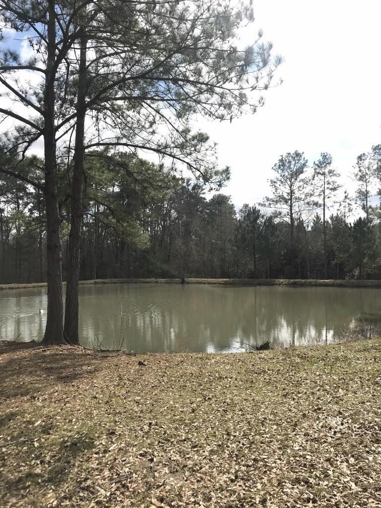 Rosemary Lane Ragley, LA 70657 - Photo 8 of 10
