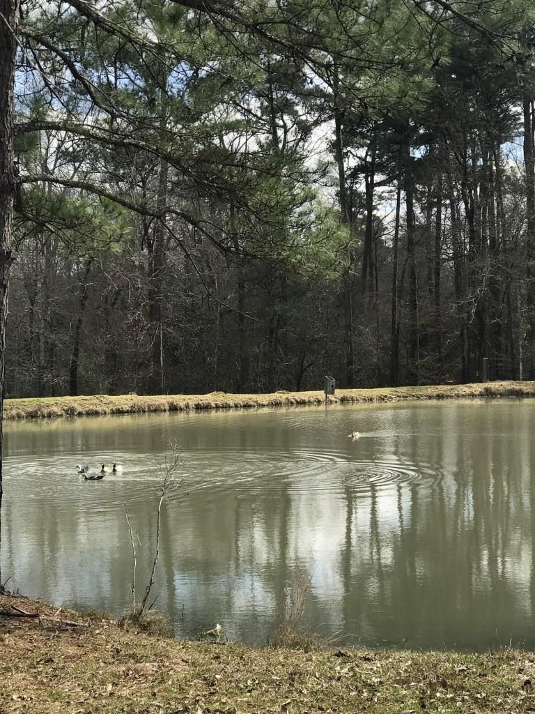 Rosemary Lane Ragley, LA 70657 - Photo 9 of 10