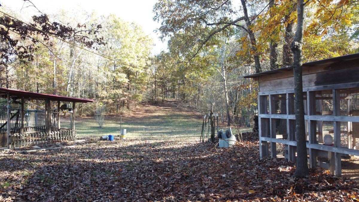 8062 Frame Hollow Road Nunnelly, TN 37137 - Photo 40 of 47