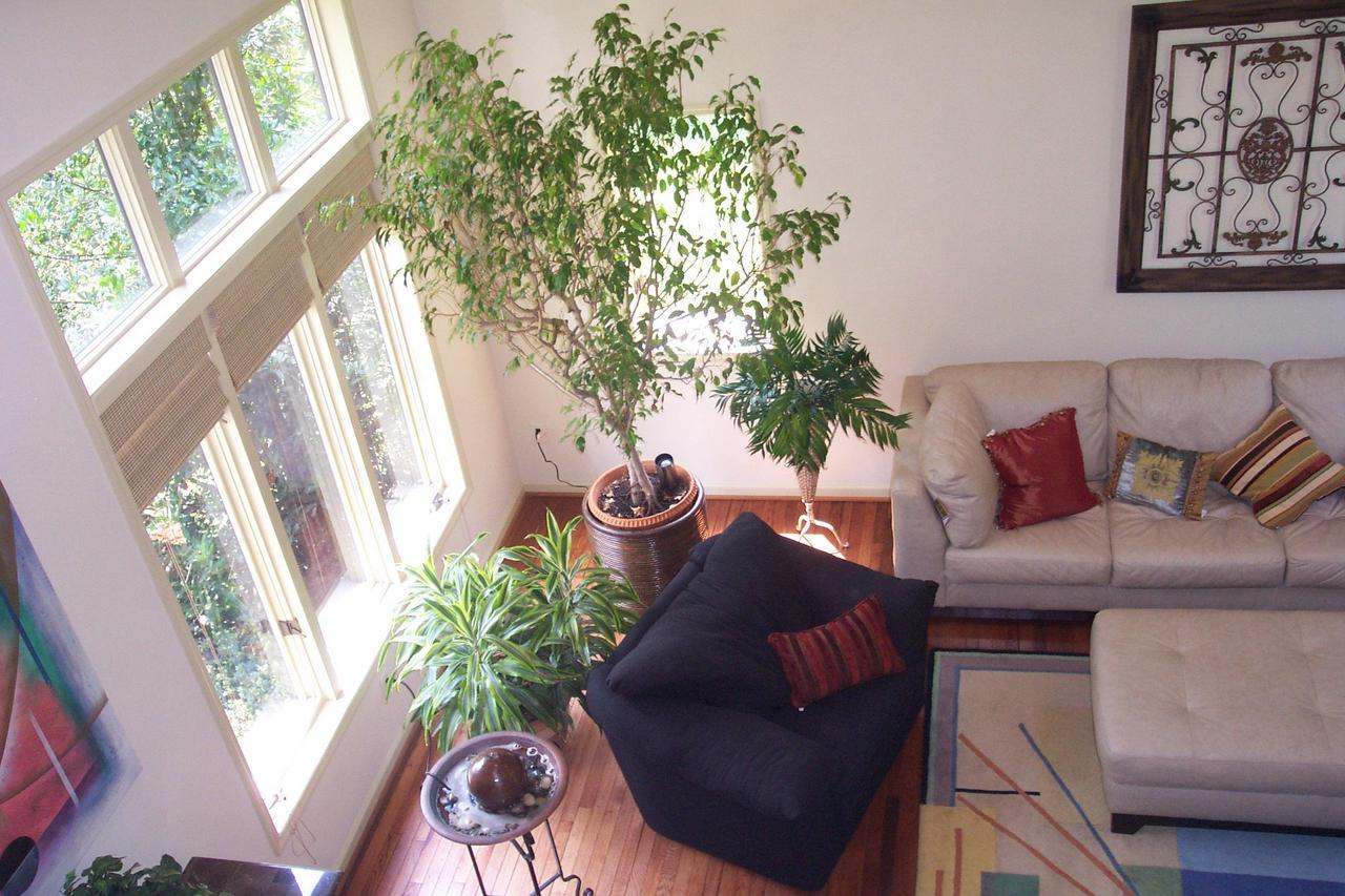 5930 2 Ford Road Roanoke, VA 24018 - Photo 2 of 15 VIEW FROM LOFT