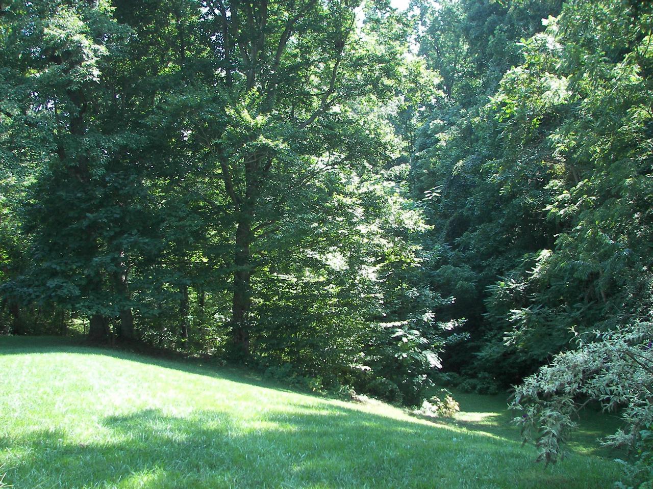 5930 2 Ford Road Roanoke, VA 24018 - Photo 11 of 15 BACK YARD VIEW
