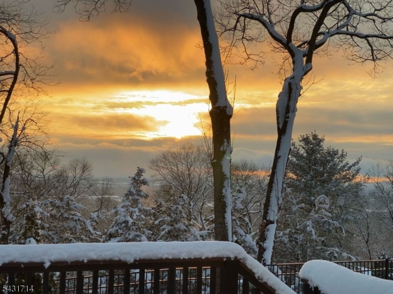 1530 Mountain Top Road Bridgewater, NJ 08807 - Photo 47 of 50