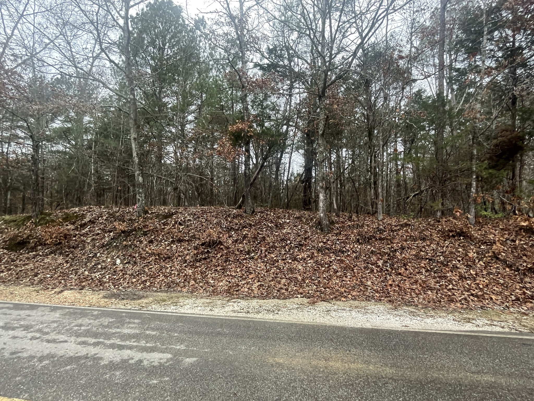 6265 Lower Big Sandy Road Big Sandy, TN 38221 - Photo 21 of 22 Gallery Image 21
