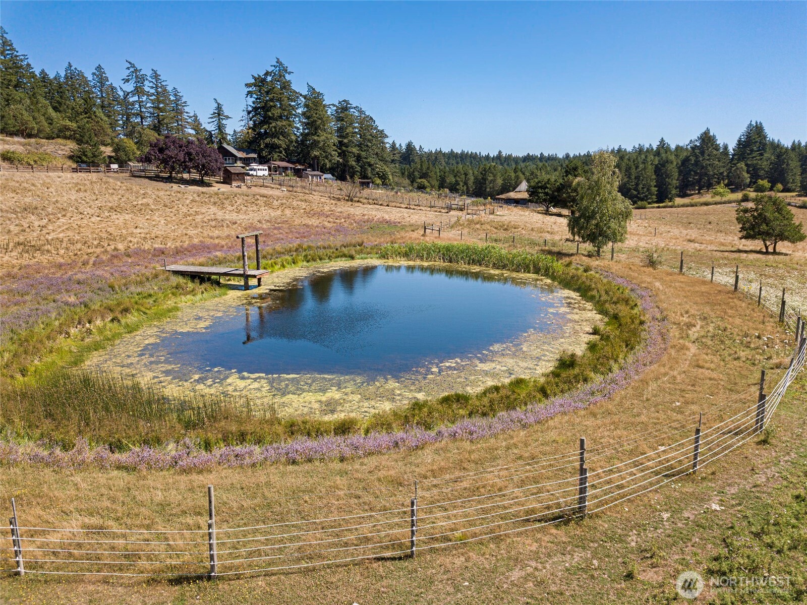 652 Halvorsen Road Friday Harbor, WA 98250 - Photo 4 of 35 Gallery Image 4