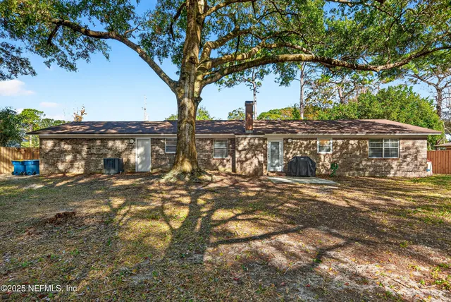 a view of a yard with an tree