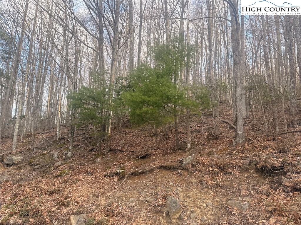 212 Jackpine Road Beech Mountain, NC 28604 - Photo 1 of 7