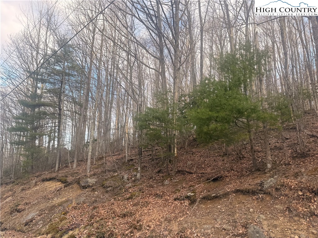 212 Jackpine Road Beech Mountain, NC 28604 - Photo 2 of 7