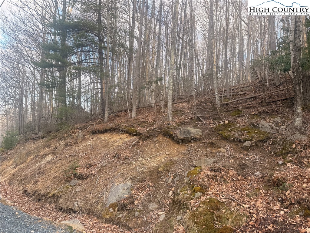 212 Jackpine Road Beech Mountain, NC 28604 - Photo 4 of 7