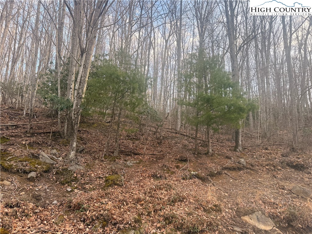 212 Jackpine Road Beech Mountain, NC 28604 - Photo 5 of 7