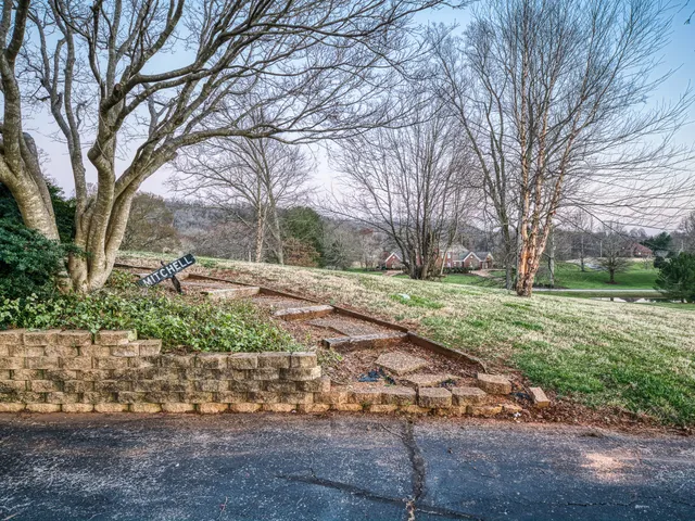 a view of a yard with plants and trees