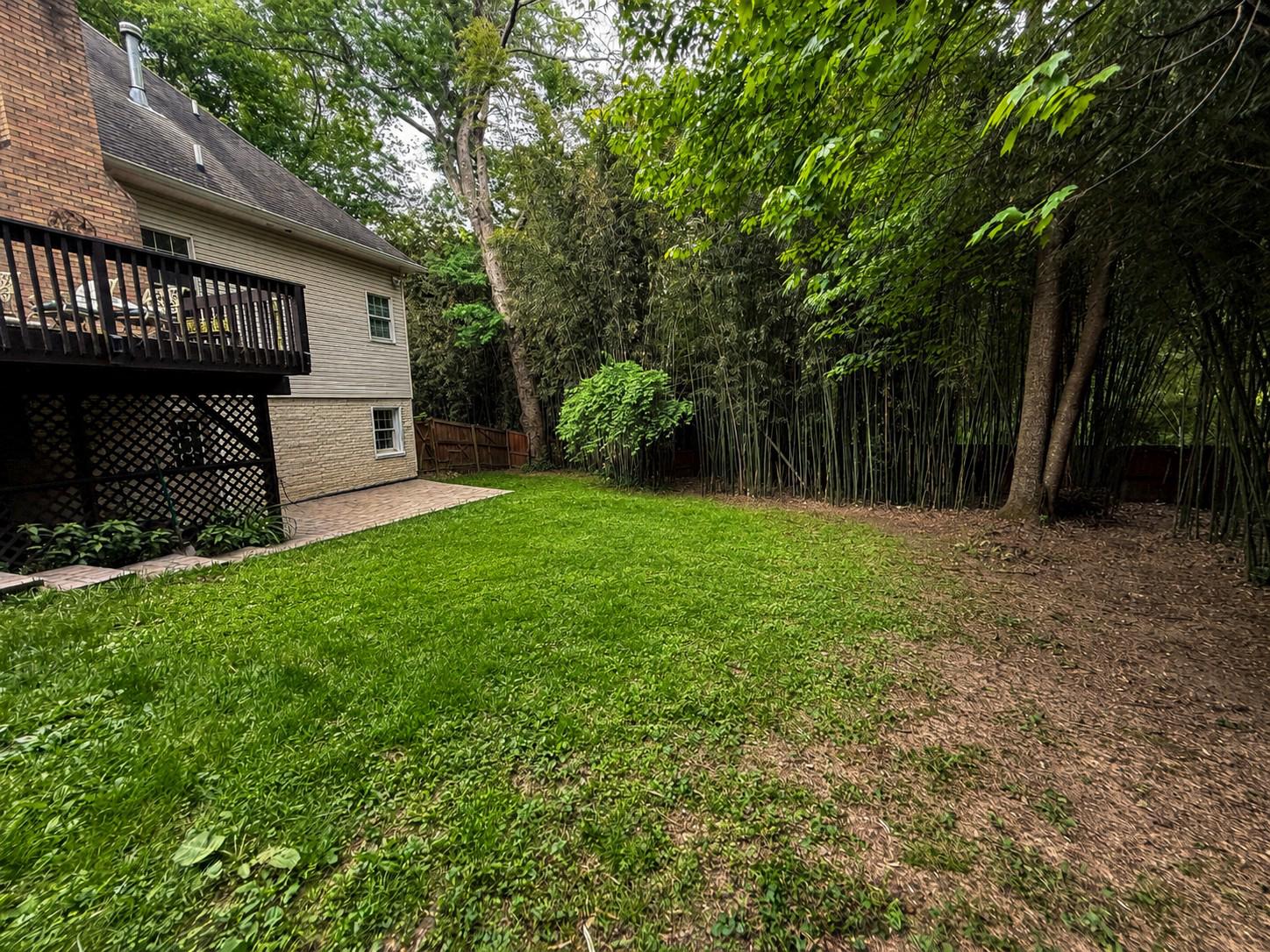 15802 Radwick Lane Silver Spring, MD 20906 - Photo 43 of 53 Year Round Privacy with Perennials