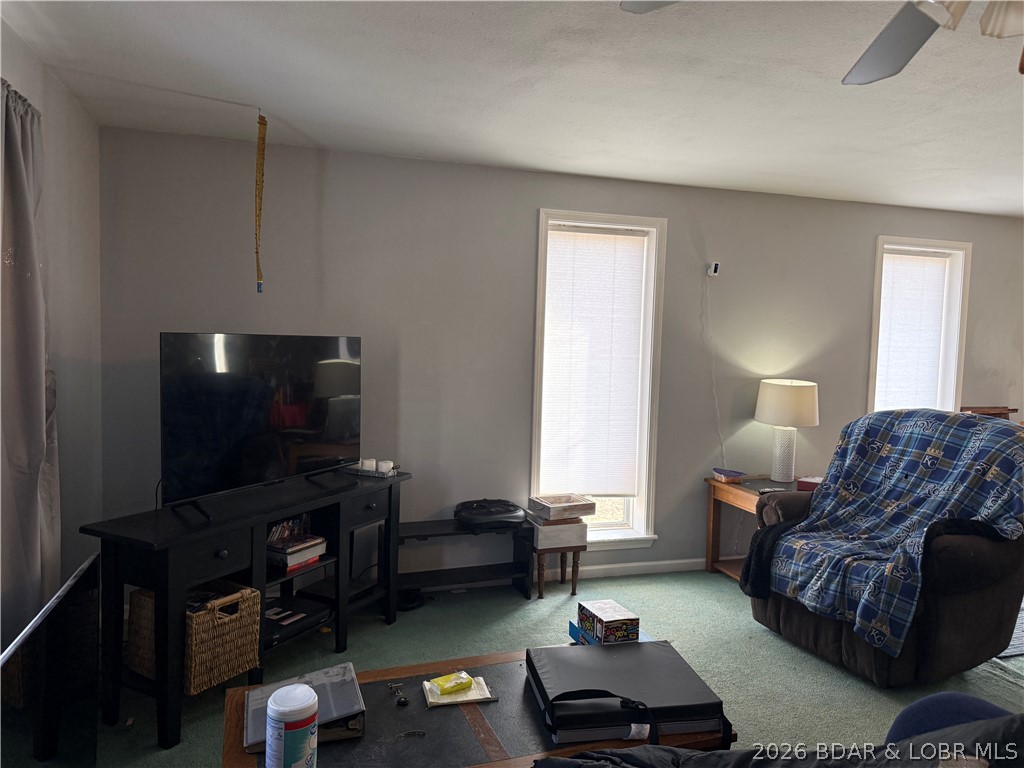 100 Woods Road Eldon, MO 65026 - Photo 6 of 15