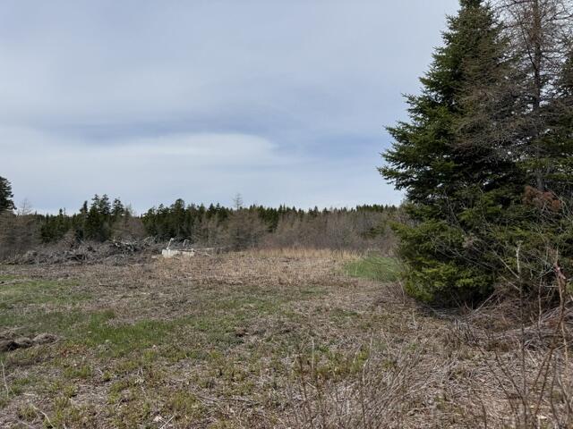 Lot 3 Holmes Bay Farms Road Whiting, ME 04691 - Photo 7 of 14