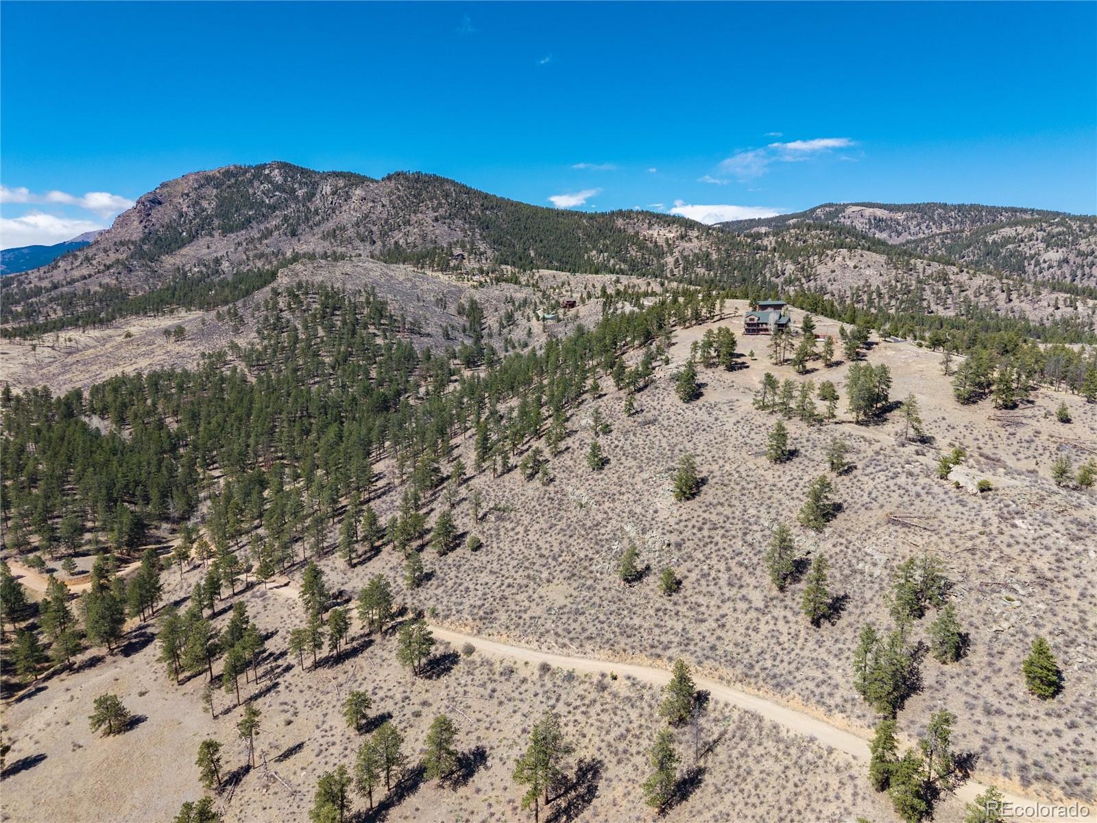 12 A Bailey Estates Bailey, CO 80421 - Photo 11 of 36 a view of a dry yard with mountains in the background