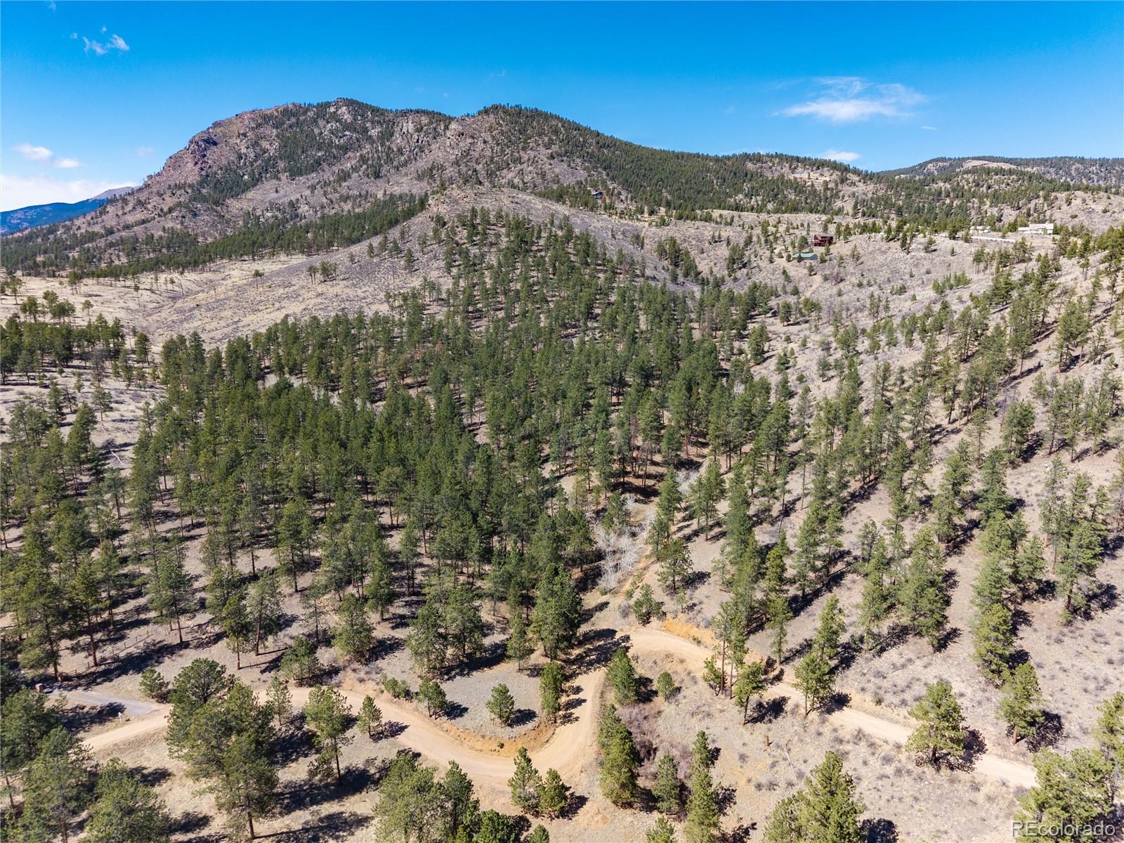 12 A Bailey Estates Bailey, CO 80421 - Photo 14 of 36 a view of a mountain in the distance in a field