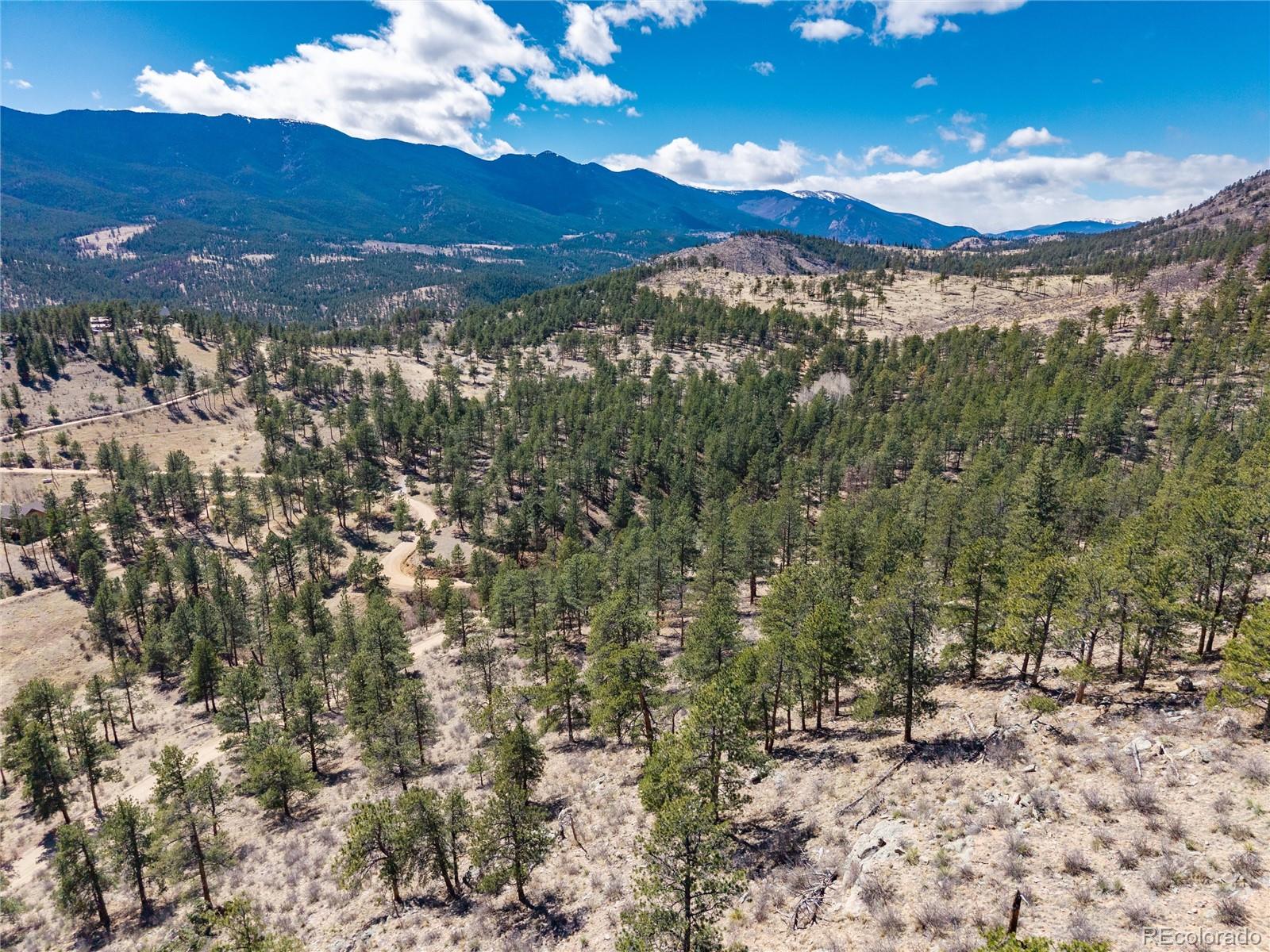 12 A Bailey Estates Bailey, CO 80421 - Photo 19 of 36 a view of a forest with mountains in the background