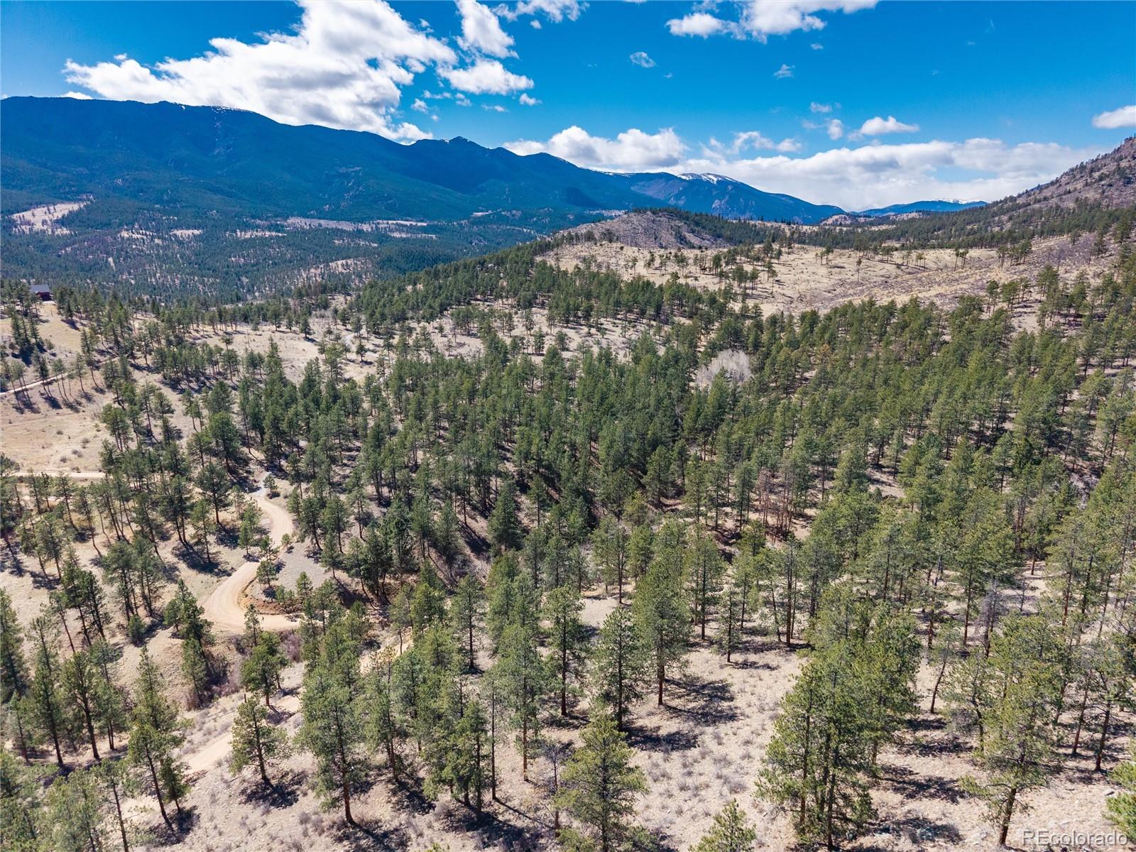 12 A Bailey Estates Bailey, CO 80421 - Photo 20 of 36
