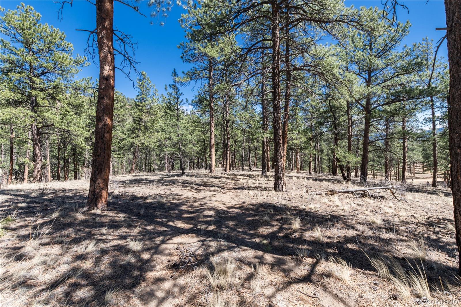 12 A Bailey Estates Bailey, CO 80421 - Photo 23 of 36