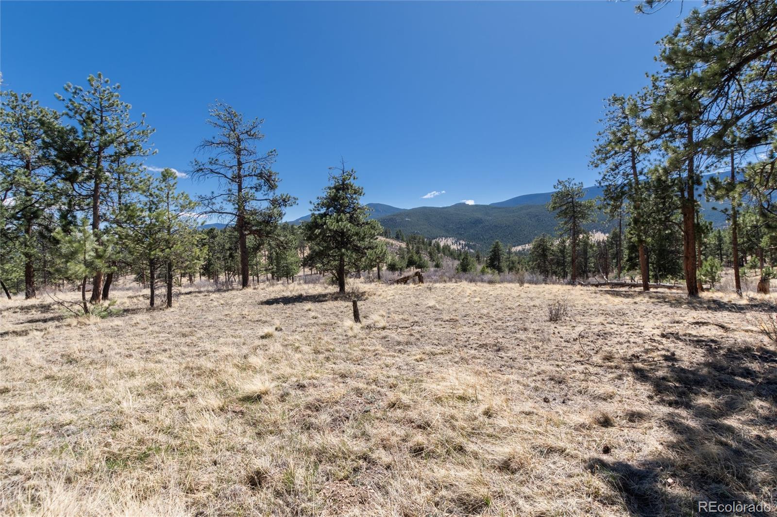 12 A Bailey Estates Bailey, CO 80421 - Photo 24 of 36 a view of a covered with snow on the road