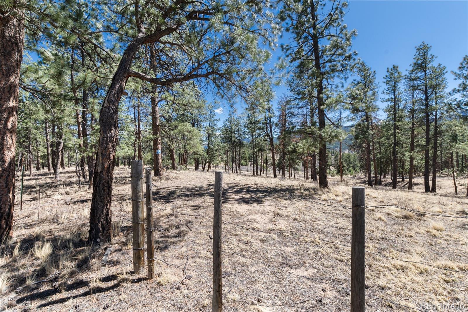 12 A Bailey Estates Bailey, CO 80421 - Photo 25 of 36