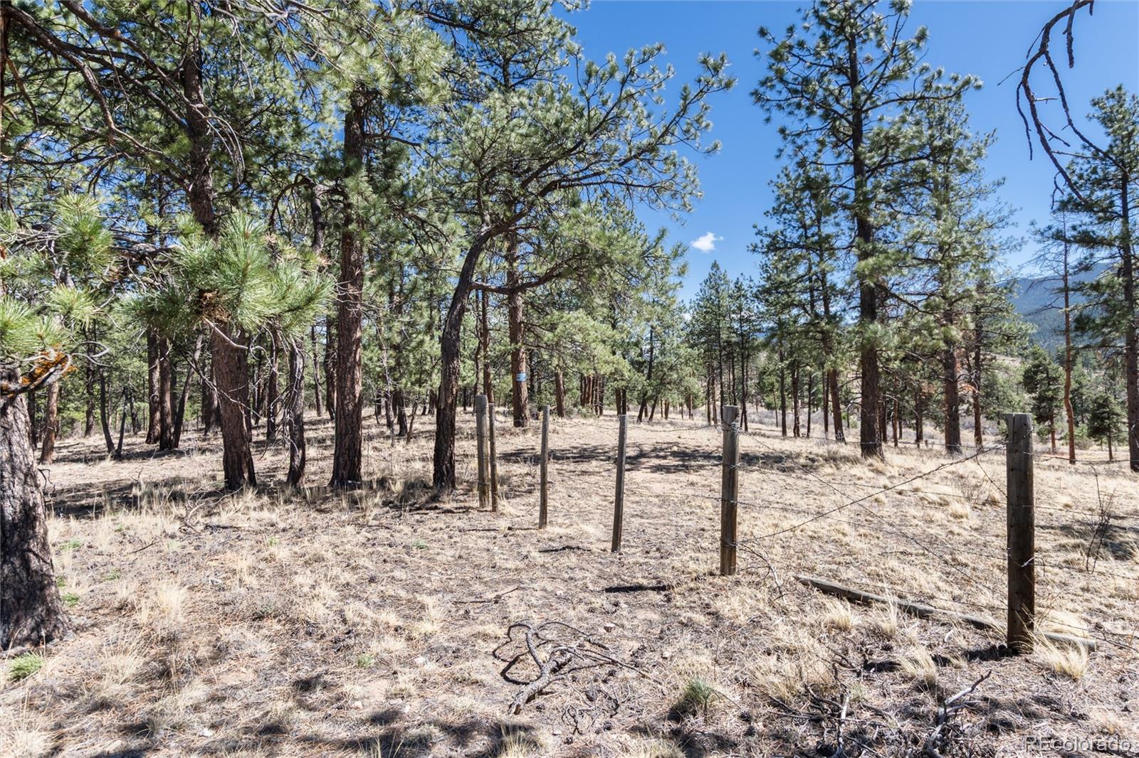12 A Bailey Estates Bailey, CO 80421 - Photo 26 of 36