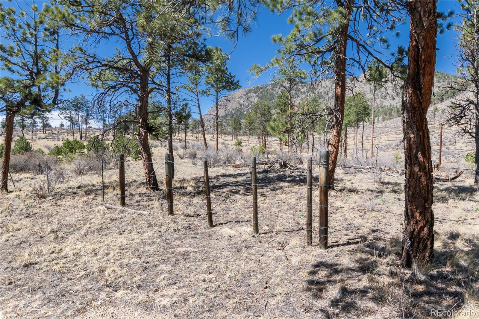 12 A Bailey Estates Bailey, CO 80421 - Photo 27 of 36 a view of outdoor space with seating