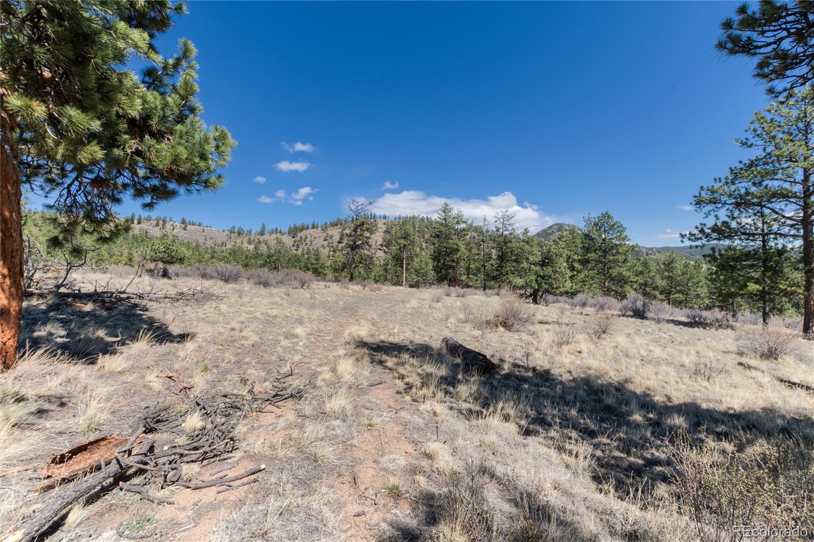 12 A Bailey Estates Bailey, CO 80421 - Photo 30 of 36 a view of a yard with a tree