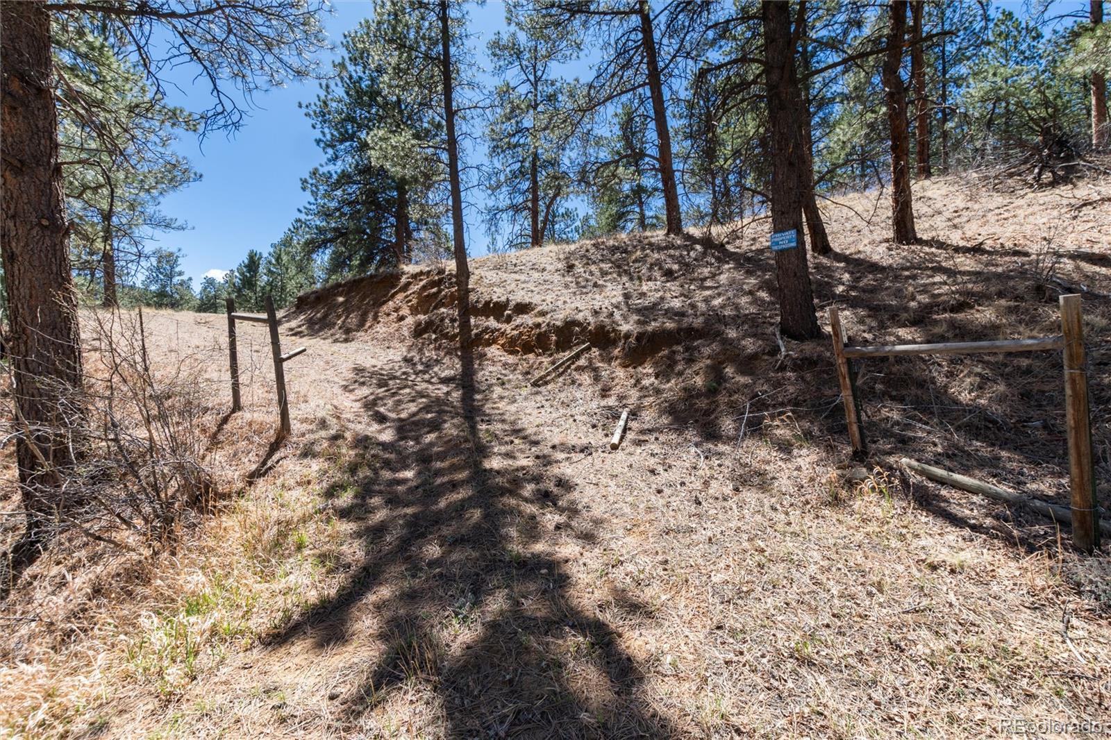 12 A Bailey Estates Bailey, CO 80421 - Photo 31 of 36 a view of snow on a road