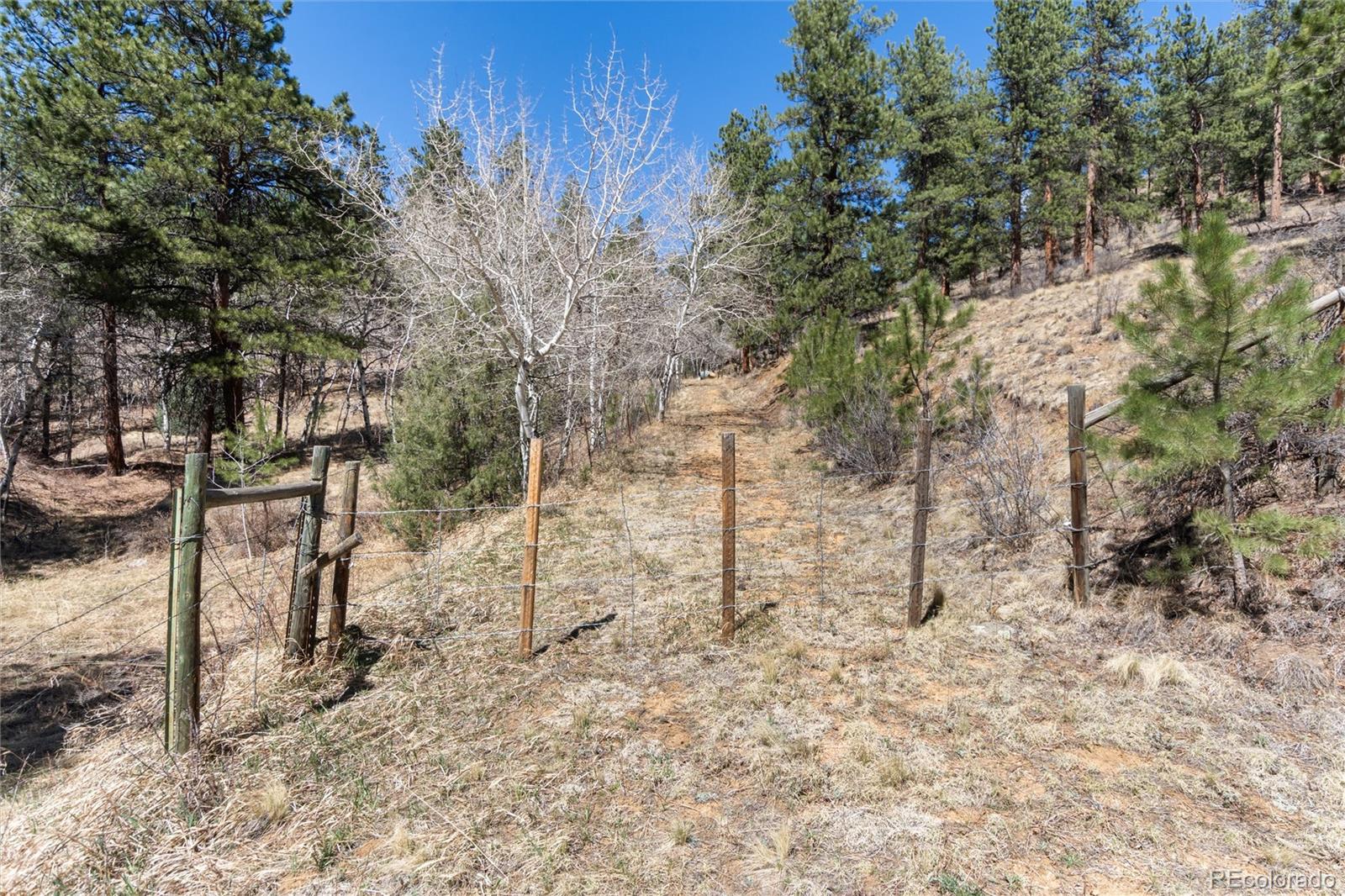 12 A Bailey Estates Bailey, CO 80421 - Photo 33 of 36