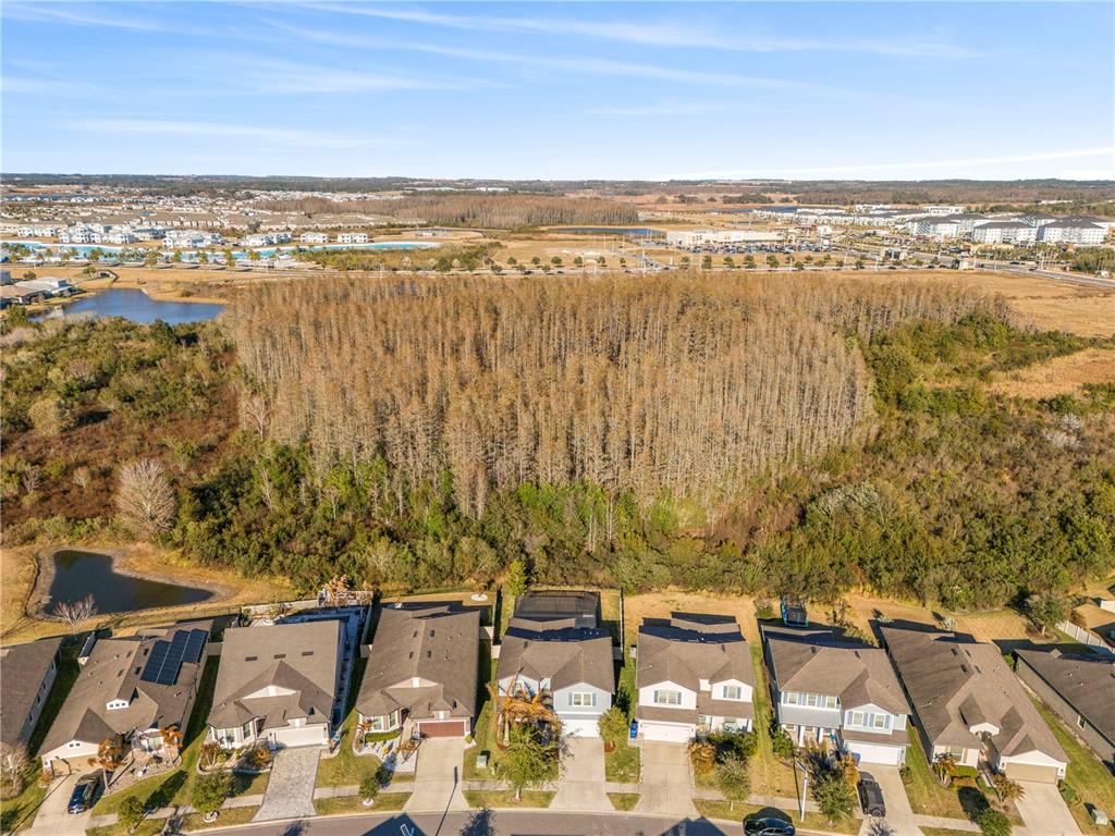 7618 Pool Compass Loop Wesley Chapel, FL 33545 - Photo 69 of 80