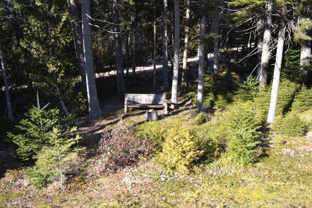 42 Bunker Road Winter Harbor, ME 04693 - Photo 29 of 29 Photo