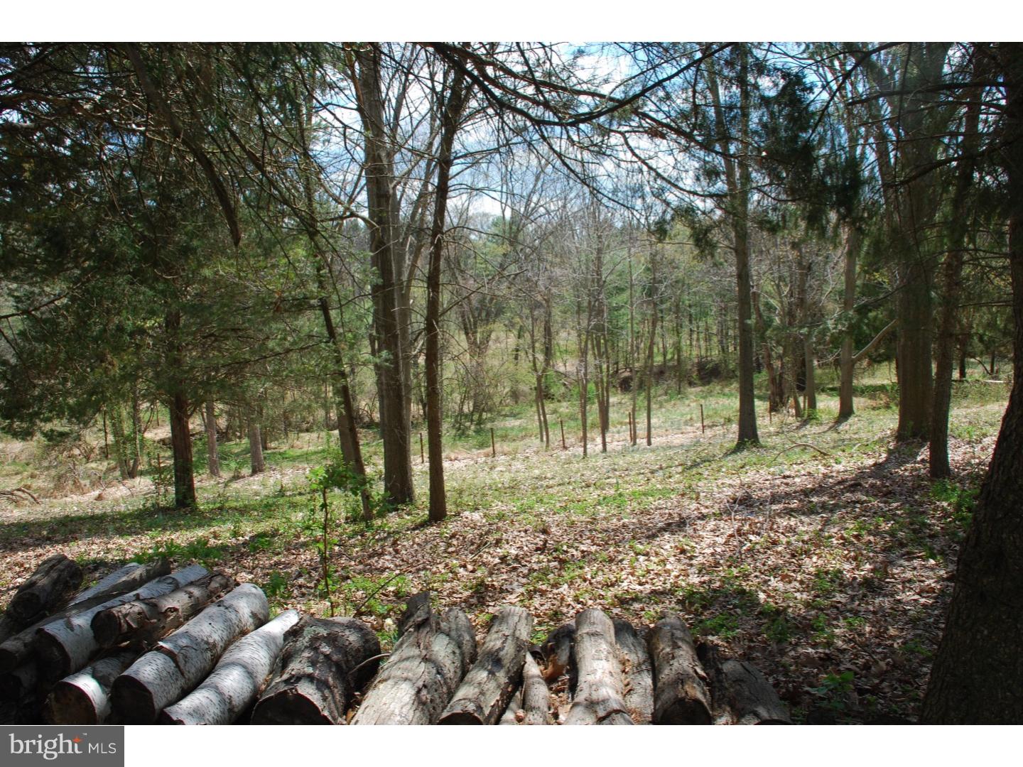 1631 Kriebel Mill Road Collegeville, PA 19426 - Photo 9 of 21
