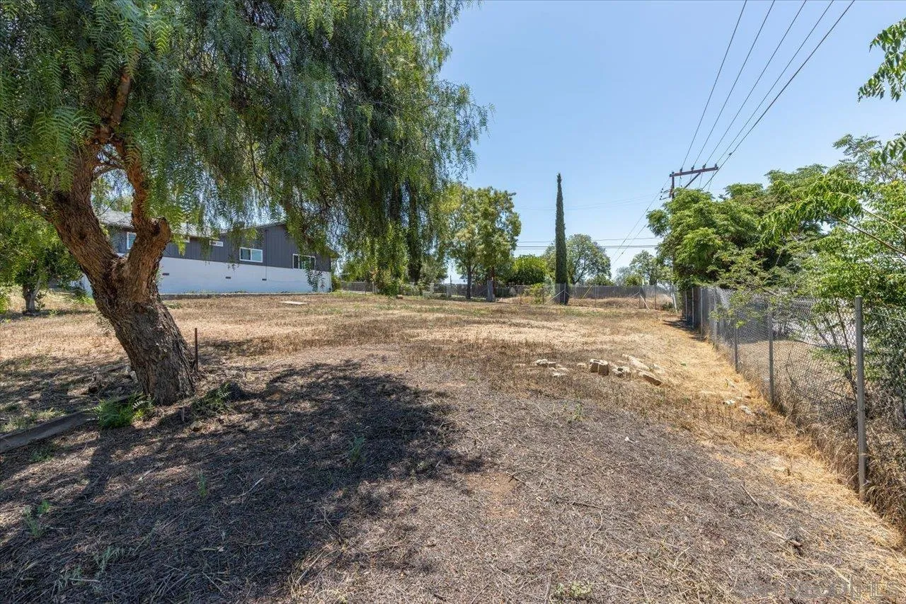 30118 Miller Road Valley Center, CA 92082 - Photo 57 of 75 a view of dirt yard with a large tree