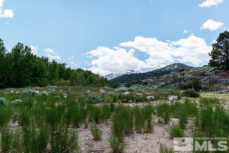 6245 Rock Farm Road Reno, NV 89511 - Photo 18 of 24 Photo 18