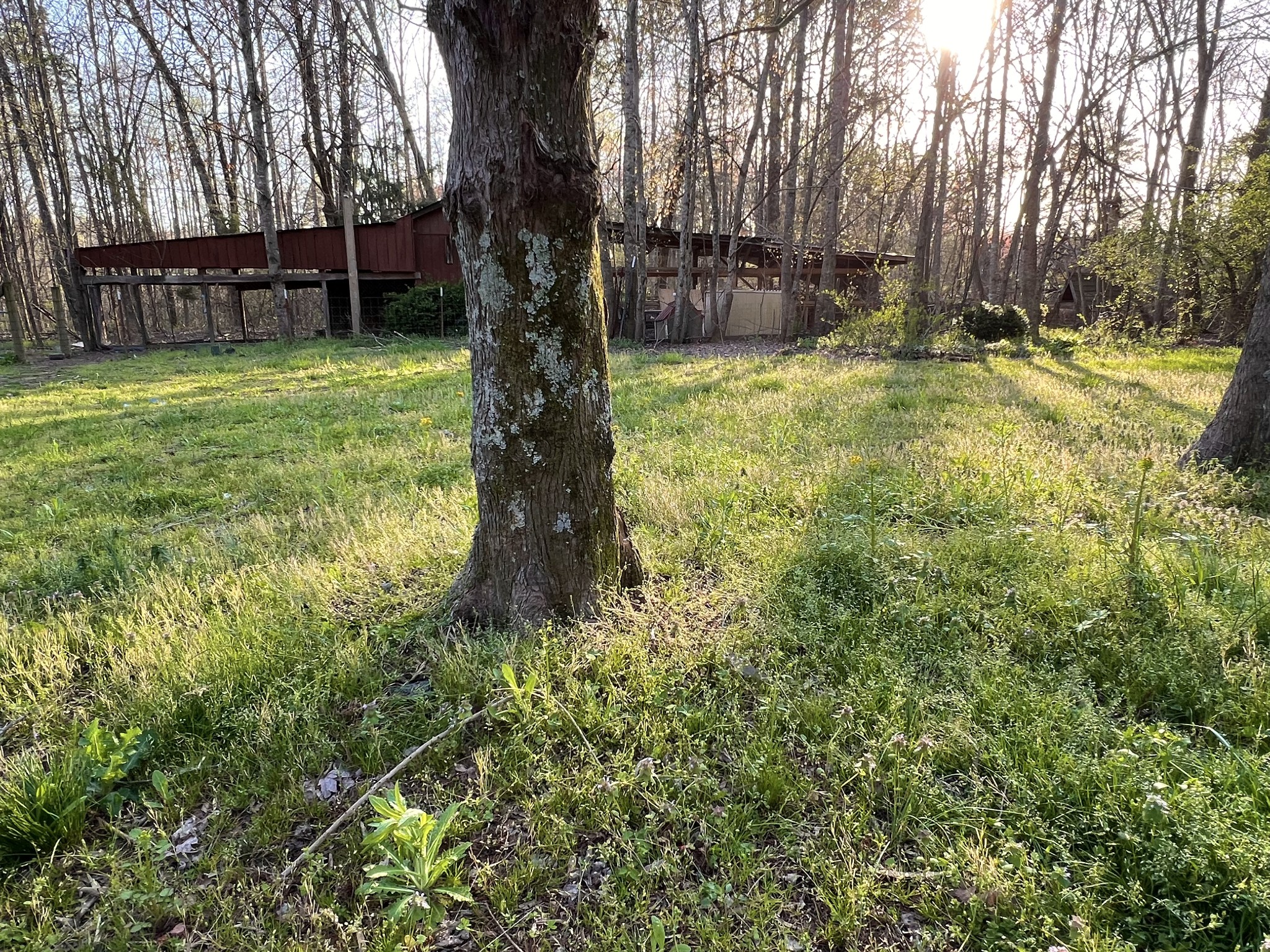233 Taylor Lake Road Morrison, TN 37357 - Photo 13 of 51