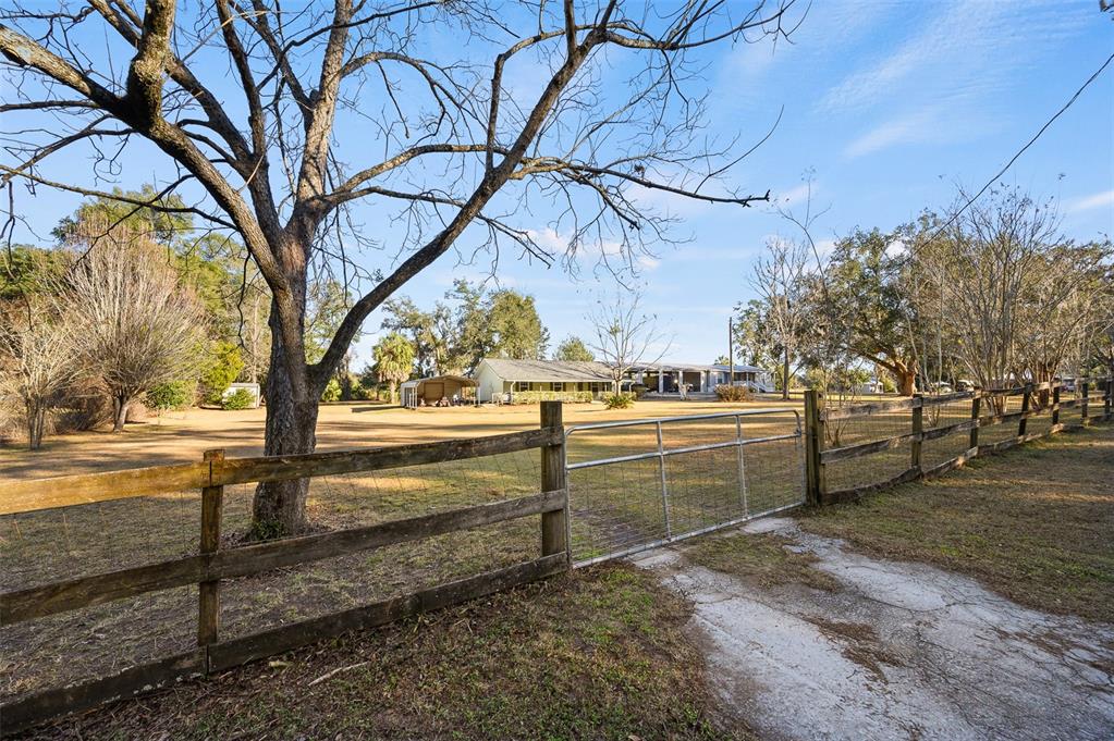 6878 Southwest 36th Street Lake Butler, FL 32054 - Photo 8 of 30 a view of a yard with an trees