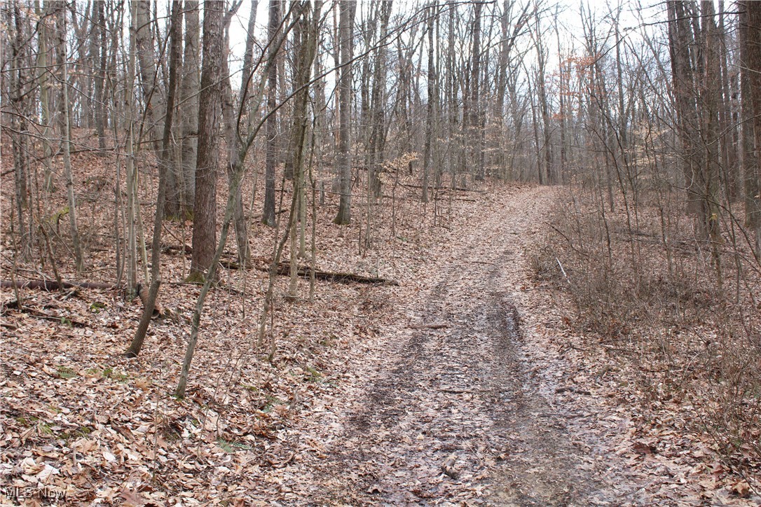 4960 Rider Road Roseville, OH 43777 - Photo 14 of 50 Gallery Image 14