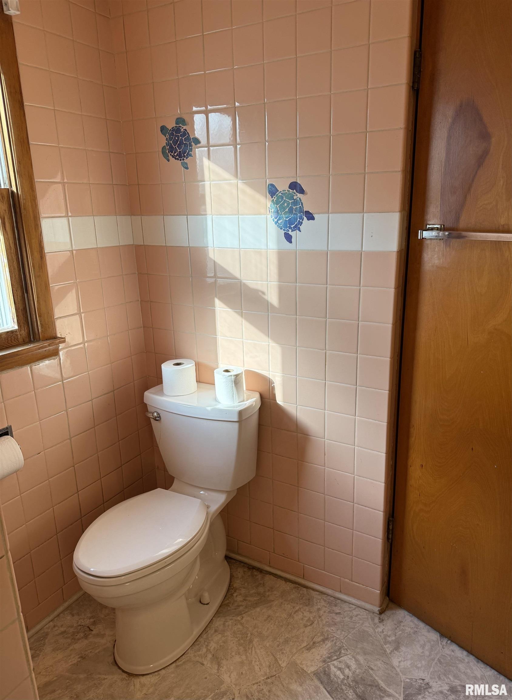 355 West Elm Street Waverly, IL 62692 - Photo 11 of 20