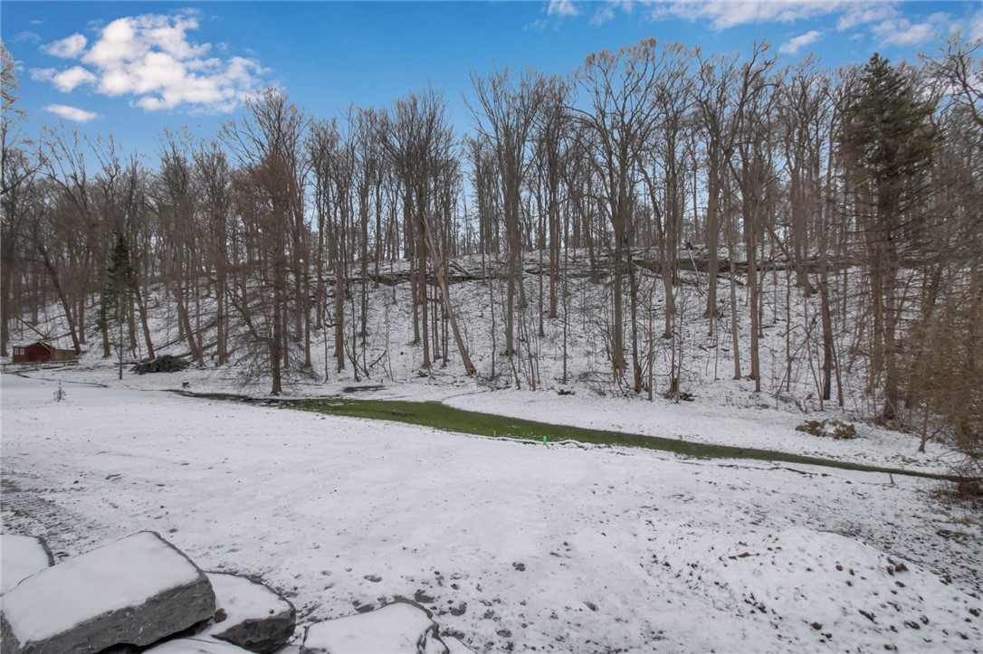 9767 Greiner Road Clarence, NY 14031 - Photo 26 of 26