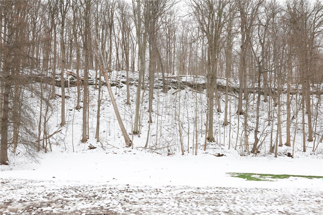 9767 Greiner Road Clarence, NY 14031 - Photo 36 of 36