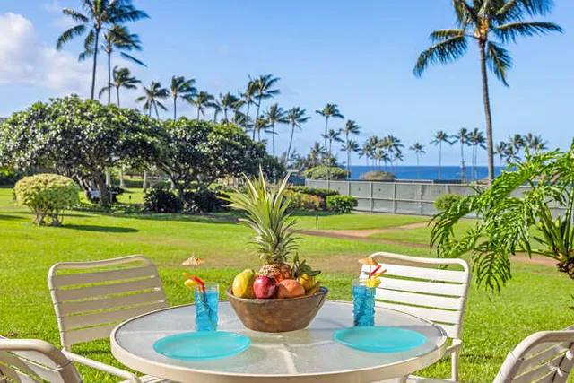 a view of a backyard with plants and palm trees