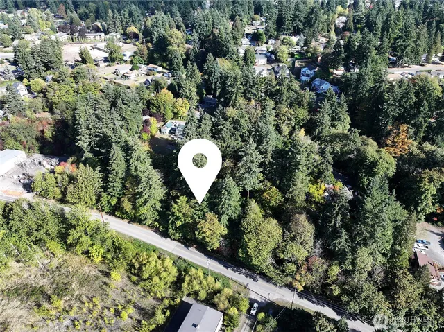 a view of a garden with a tree